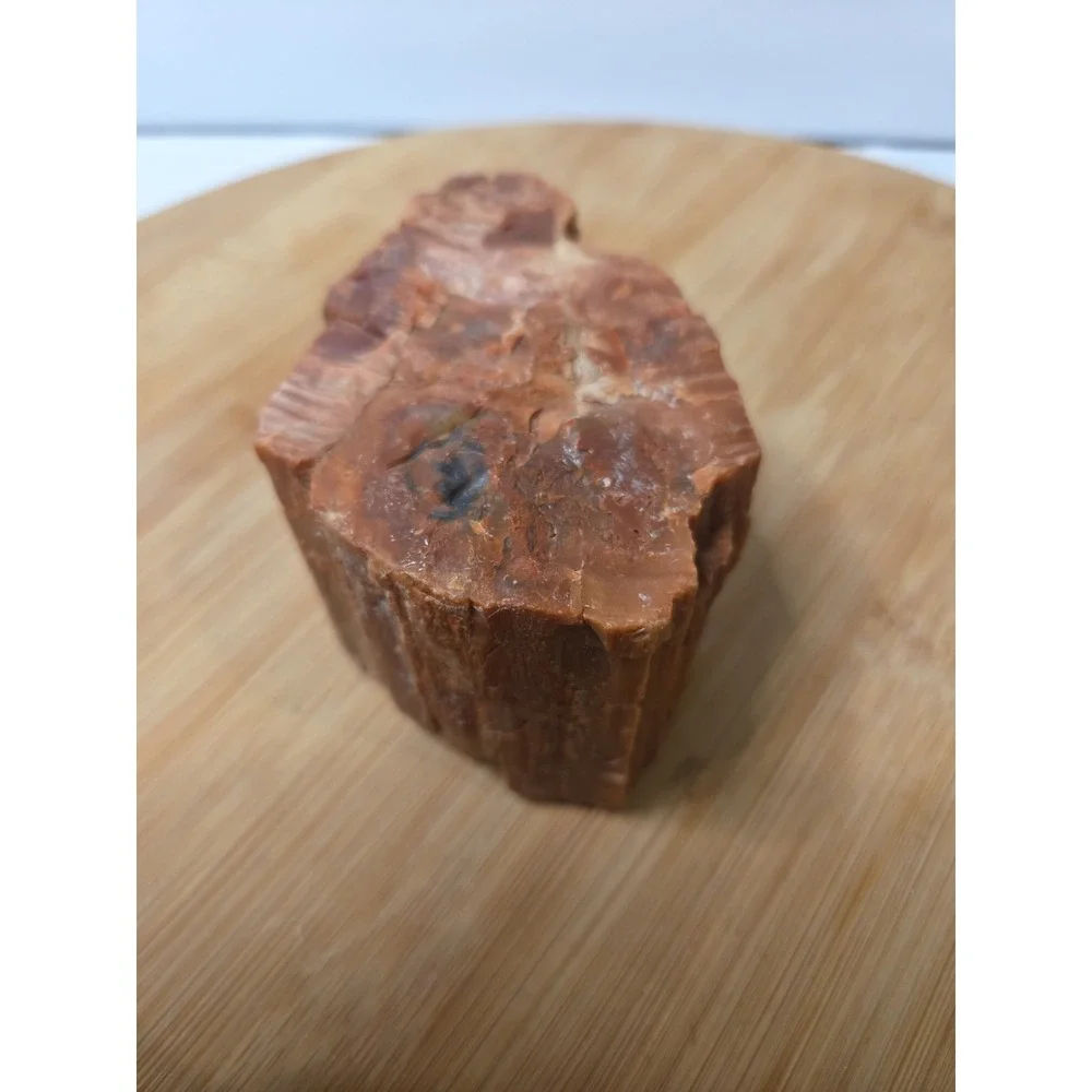 Natural Raw Petrified Wood Specimen Fossil 1.5 lbs 4
